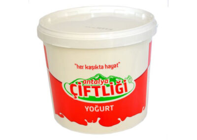 YOĞURT